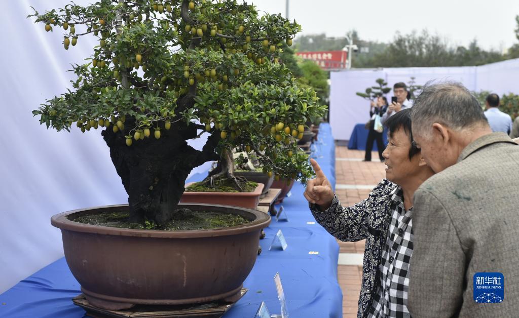 开心大赢家官网
